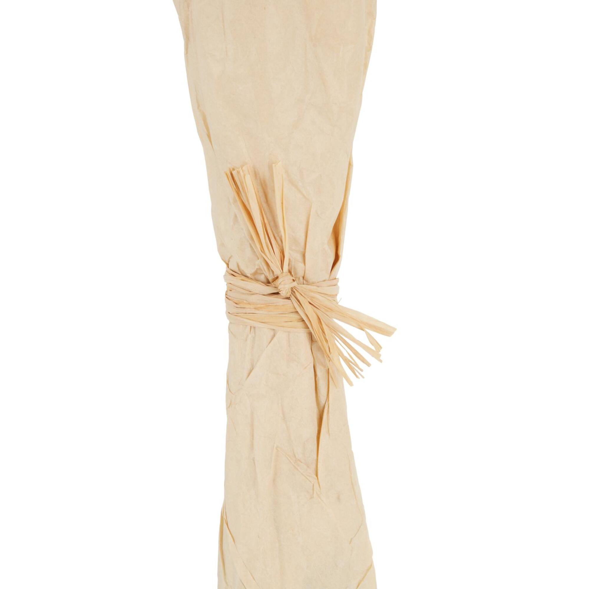 41" Cream Dried Natural Foliage Bouquet with Brown Stems